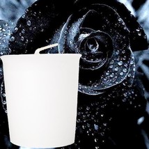 Black Rose &amp; Oud Scented Eco Soy Wax Votive Candles, Hand Poured - £18.34 GBP+