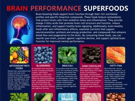Brain Foods, Brain Performance Foods, Superfoods Chart, Enhanced Focus, ... - £3.14 GBP