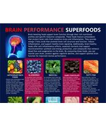 Brain Foods, Brain Performance Foods, Superfoods Chart, Enhanced Focus, ... - £3.20 GBP