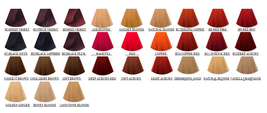 L'oreal HiColor -  H12 Deep Auburn Red, 1.7 Oz. image 2