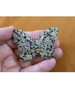 (Y-BUT-708) spotted Jasper BUTTERFLY figurine gemstone carving love butt... - $474.98 MXN