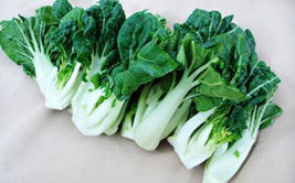 200+ seeds Canton pak choi Chinese Cabbage BokChoy Napa Cabbage Siu Bok Choy USA - £9.37 GBP