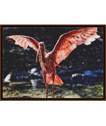 Scarlet Ibis ~~ counted cross stitch pattern PDF - £9.58 GBP