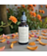 Rejuvenate Facial Oil 2oz - $20.00