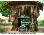 Vtg Postcard Giant Cedar Stump Snohomish County Washington to Burnside C... - $43.51
