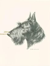 # 73 SCOTTISH TERRIER  dog art print * Pen and ink drawing * Jan Jellins... - $12.50