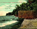 Beach Scene at Four Mile Creek Erie Pennsylvania PA 1909 DB Postcard - $4.90