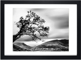 10x14 Picture Frames Black Display With Mat Document Wooden For Wall Hanging NEW - £20.09 GBP