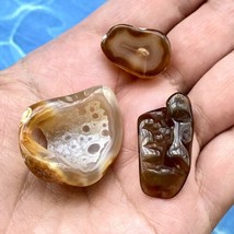 Agatized Tampa Bay Fossil Coral Tumbled Agate Gemstones Set of 3 - £17.94 GBP