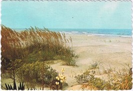 Postcard South Carolina&#39;s Sea Islands - $3.95