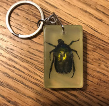 Clear Lucite Lucky Charm Keychain Genuine Green Beetle - $6.75