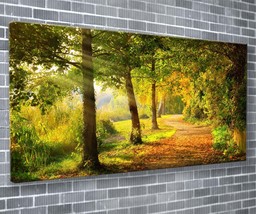 Pathway Through The Trees Canvas Print Nature Wall Art 55x24 Inch Ready To Hang  - £72.00 GBP