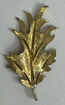 Vintage BSK Jewellry Gold Tone Leaf Brooch - £11.40 GBP