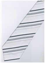 ES9 Silver White Necktie - $19.99