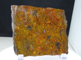 AMAZING MOSS AGATE SLAB...ALL COLORS...SOLID...4.4 X 3.9 X .30 - $48.00