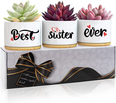 Birthday Gifts for Sister, Sister Birthday Gifts from Sister, Funny Sister Gifts - £16.51 GBP