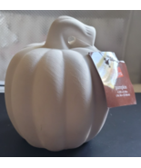 New Ceramic Unglazed Pumpkin Fall Crafts 4.09 inch by 4.76 inch Hallowee... - $9.99