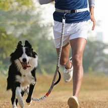Ultimate Outdoor Adventure Dog Leash - £17.65 GBP