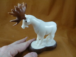 TNE-MOO-643-B) white Moose TAGUA NUT nuts palm figurine carving in rut antlers - £34.80 GBP