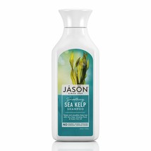 JASON Smoothing Sea Kelp Shampoo, 16 Ounce Bottle - $17.16
