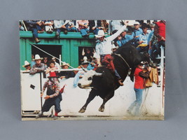 Vintage Postcard - Bull Riding Calgary Stampede - Traveltime - £11.97 GBP