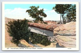 Postcard The Natural Bridge Petrified Forest, Arizona (Blank Back) - £2.81 GBP