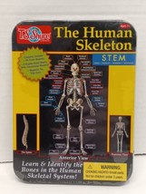 Magnetic Learning Activity STEM in Sealed Tin Human Skeleton  7+ - £7.34 GBP