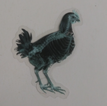 Chicken X-Ray Transparent Sticker 2.38&quot; x 2&quot; (H) - $1.64