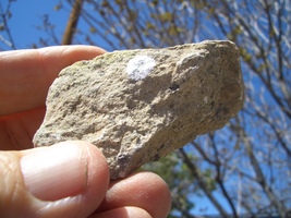 Coffinite Uranium; Jurassic Canyon Nm 22,000. Cpm 3.3 Oz. $18.00 + $9.00 S/H - £14.34 GBP