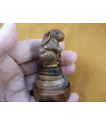 (tb-rab-8) little bunny foo foo Tagua NUT palm figurine Bali carving bab... - £33.45 GBP