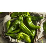 MX Anaheim Chili Pepper Seeds Pepper Seeds Grown Non GMO Bulk Seed - $11.99