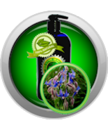 Borage Seed Oil for Skin - $277.45 MXN+