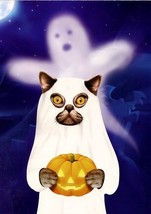 Trick Or Cat- Tree Free Greeting Card - 14678 - $25.61 MXN