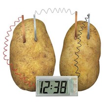  Educational Potato Powered Clock Kit - $31.55