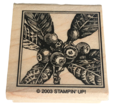 Stampin Up Rubber Stamp Flower Berries in Square Food Plant Cooking Card Making - £3.18 GBP