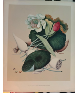 Vge 1950 OOAK Still Life Flowers From Original 18th Century Botanical Ar... - $207.01 CAD
