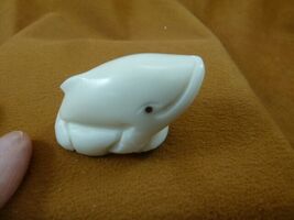 (TNE-WHA-709a) little baby Blue Whale TAGUA NUT VEGETABLE palm figurine - $20.99
