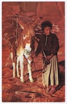 Postcard Navajo Lass And Her Burro Arizona - £3.08 GBP