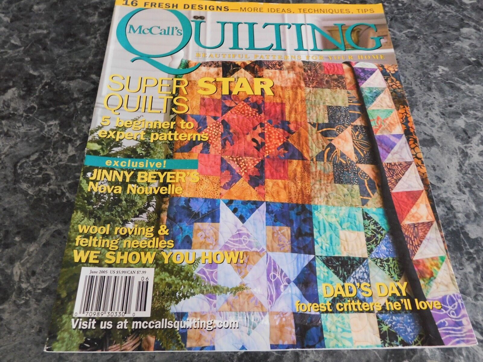 McCall's Quilting Magazine June 2005 Curry and Spice - $2.99