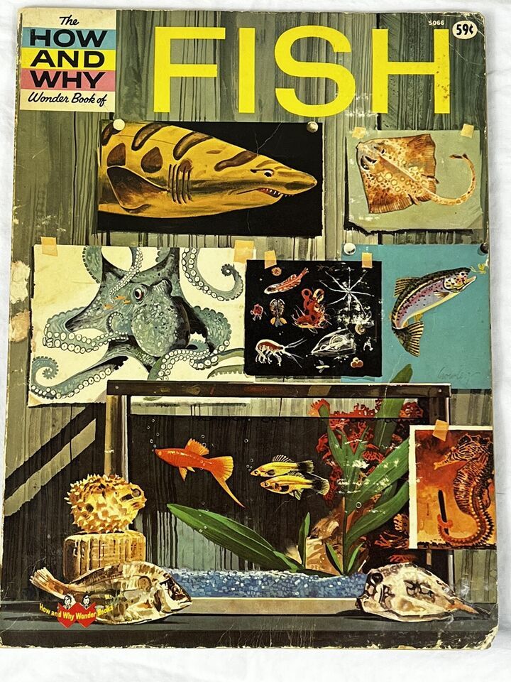 The How And Why Wonder Book Of FISH 1970 70s Vintage Childrens Science Book - $20.82
