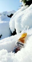 Corona Extra Light Imported Beer Advertising Metal  Sign 8x12in  Coors 37 - $34.72 CAD