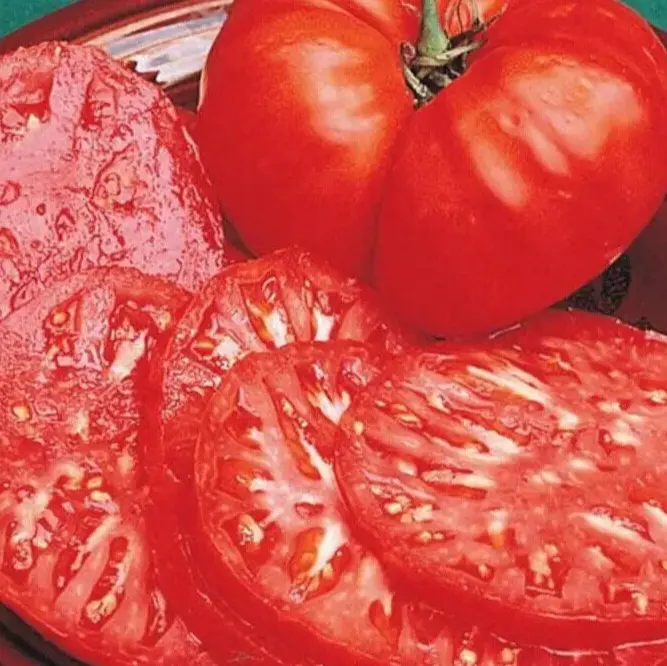 Tomato, Beefsteak Meaty 1 Lb Fruit 35 Seeds Groco - Buy Any 10 = Free Sh... - £7.34 GBP