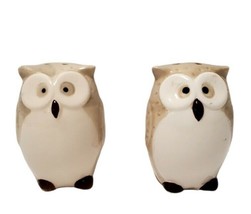 Ceramic Painted Owl Salt and Pepper Shakers - $11.26