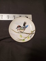 4&quot; Hand painted Artist Signed Bird Plate Gold Rimmed - £4.48 GBP