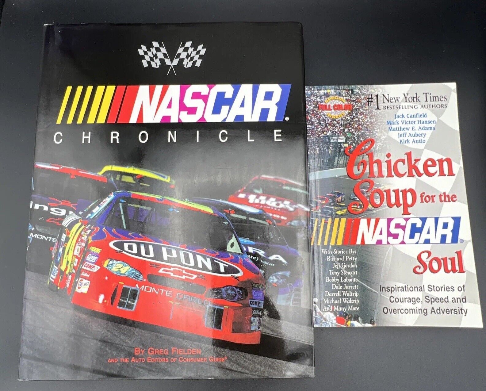 NASCAR Chronicle By Greg Fielden Stock Car Racing - Chicken Soup for the... - $21.67