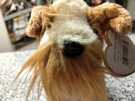 Ty Beanie Babies Schnitzel The Brown Dog With Brown Collar And Cute Tongue - £11.75 GBP