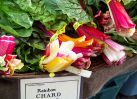 Grow In US Swiss Chard Rainbow Swiss Chard Colorful 80 Seeds  - £5.64 GBP