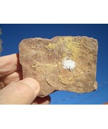 COFFINITE URANIUM ROCK  5.6 OZ 85,900. CPM  JURASSIC CANYON  $70.00 +$12... - $70.00