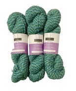 Louet Gems Merino Wool Yarn 3 Hanks Clover Machine Wash Dry Worsted Weight - $509.36 MXN