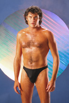 David Hasselhoff Hunky Bare Chested in Black Briefs Oiled Pin Up 18x24 Poster - £19.23 GBP